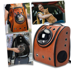 Sac à dos de voyage pour chats