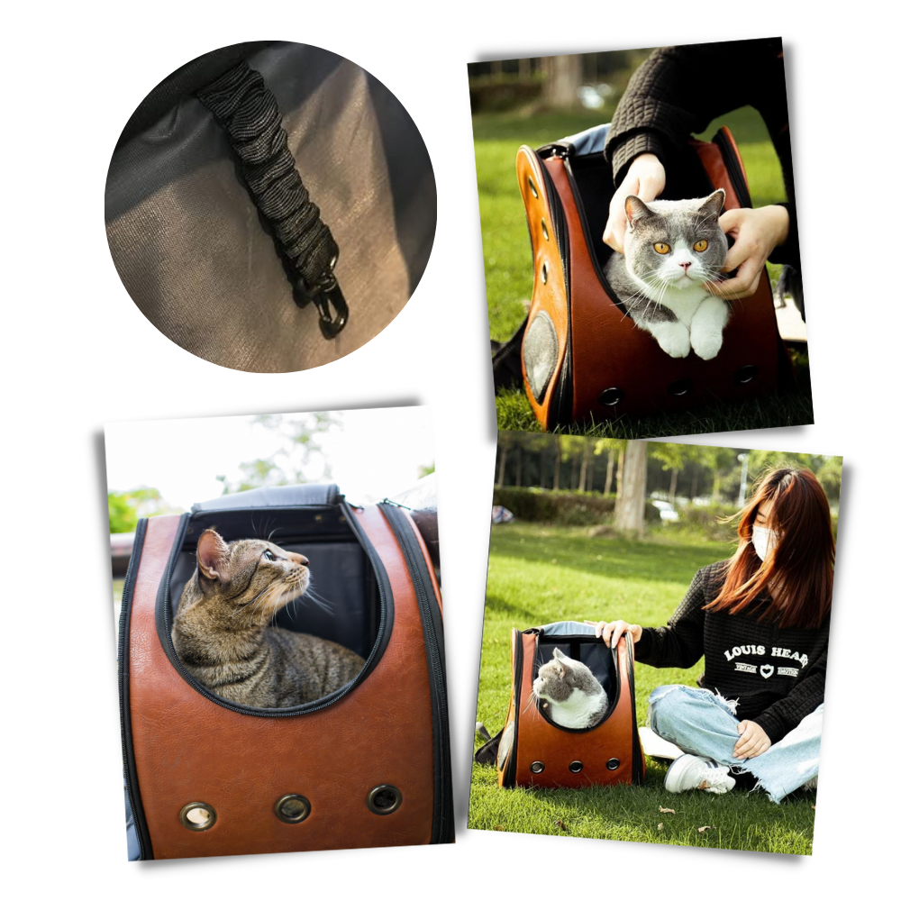 Sac à dos de voyage pour chats