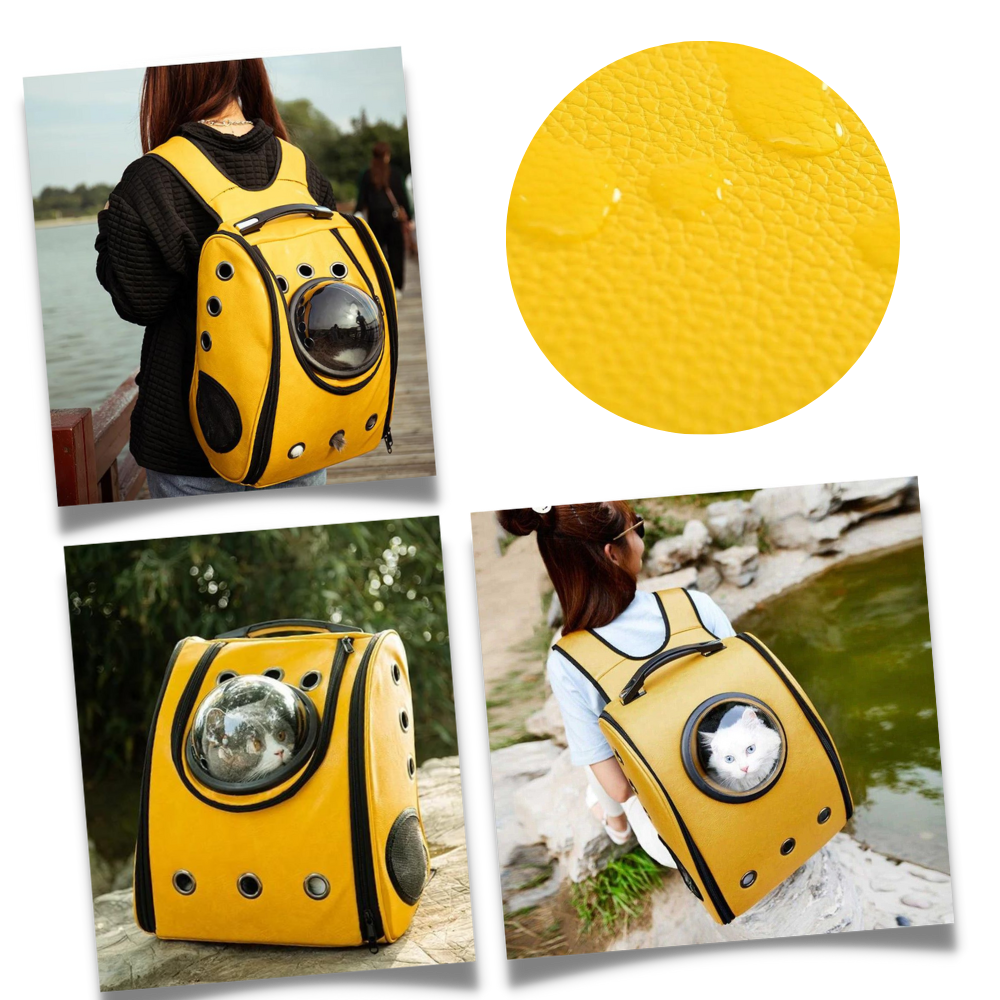 Sac à dos de voyage pour chats