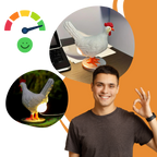 Lampe douce en forme de poule