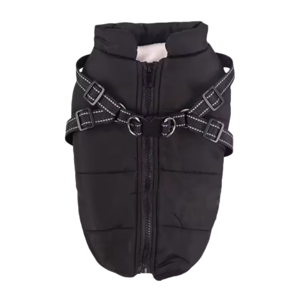 Veste d'hiver confortable pour chien