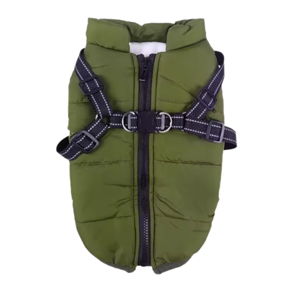 Veste d'hiver confortable pour chien