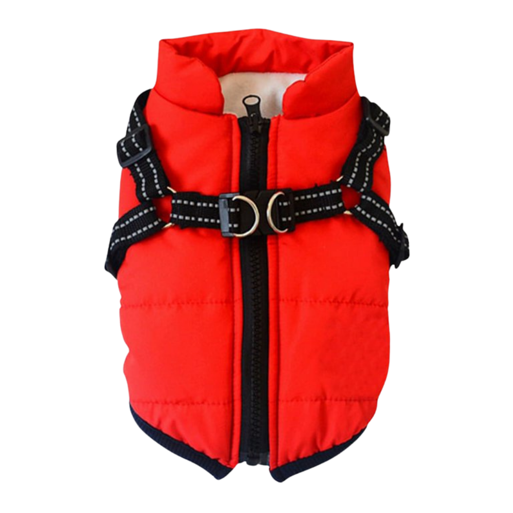 Veste d'hiver confortable pour chien