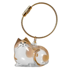 Porte-clés capsule poils de chat