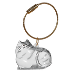 Porte-clés capsule poils de chat