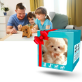 Adorable robot chaton/chiot