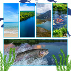 Calendrier de l'Avent de pêche avec surprises quotidiennes