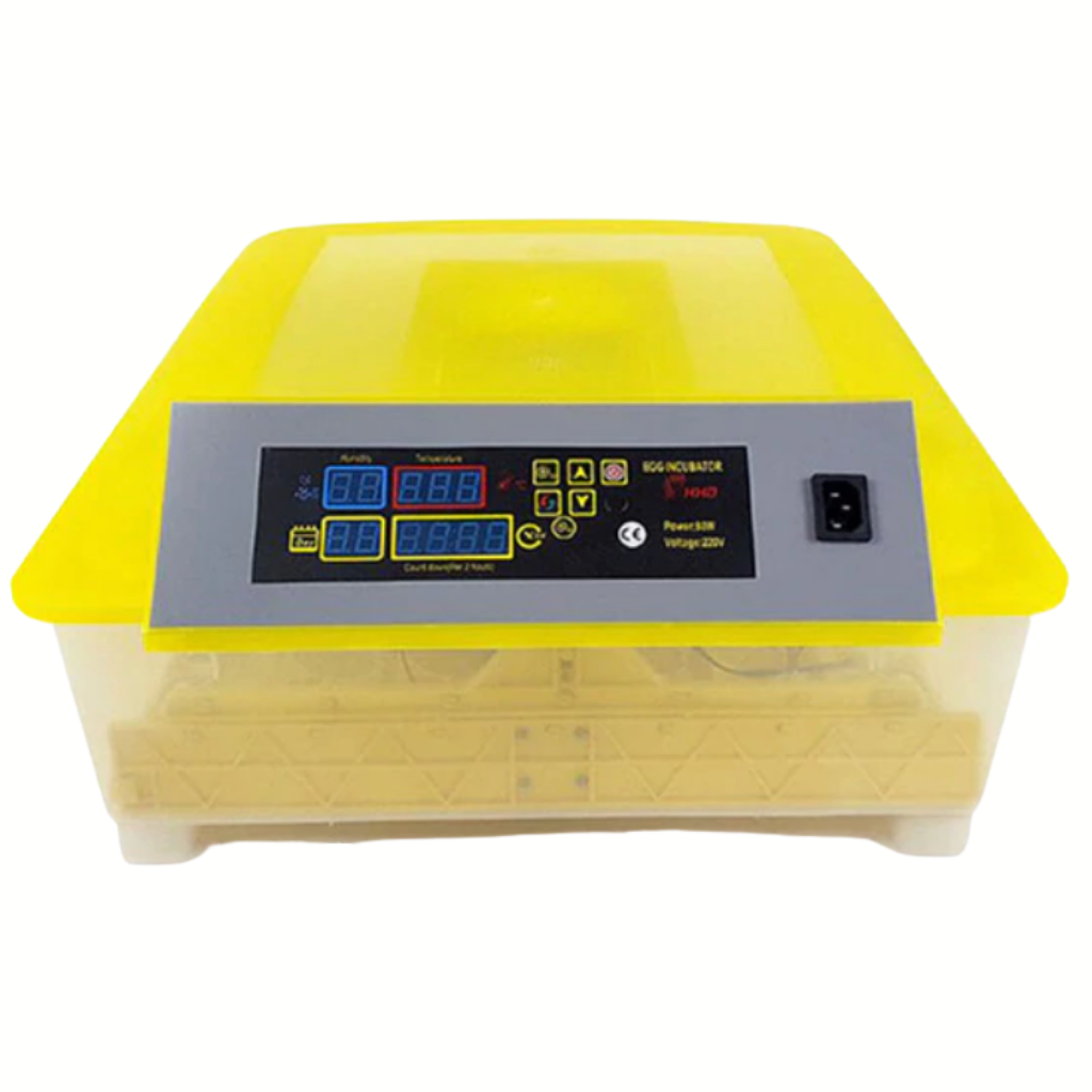 Incubateur automatique d'oeufs (48 oeufs)