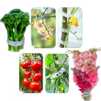 Support de plantes facile à clipser