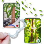 Support de plantes facile à clipser