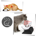 Bol confort surélevé pour chats
