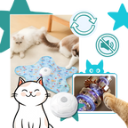 Jouet tapis interactif à plumes pour chatons en phase de dentition