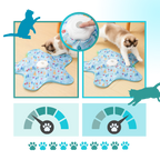 Jouet tapis interactif à plumes pour chatons en phase de dentition