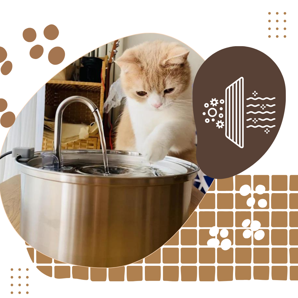 Fontaine pour chats à grande capacité