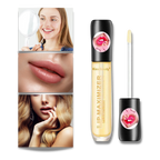 Gloss repulpant pour les lèvres