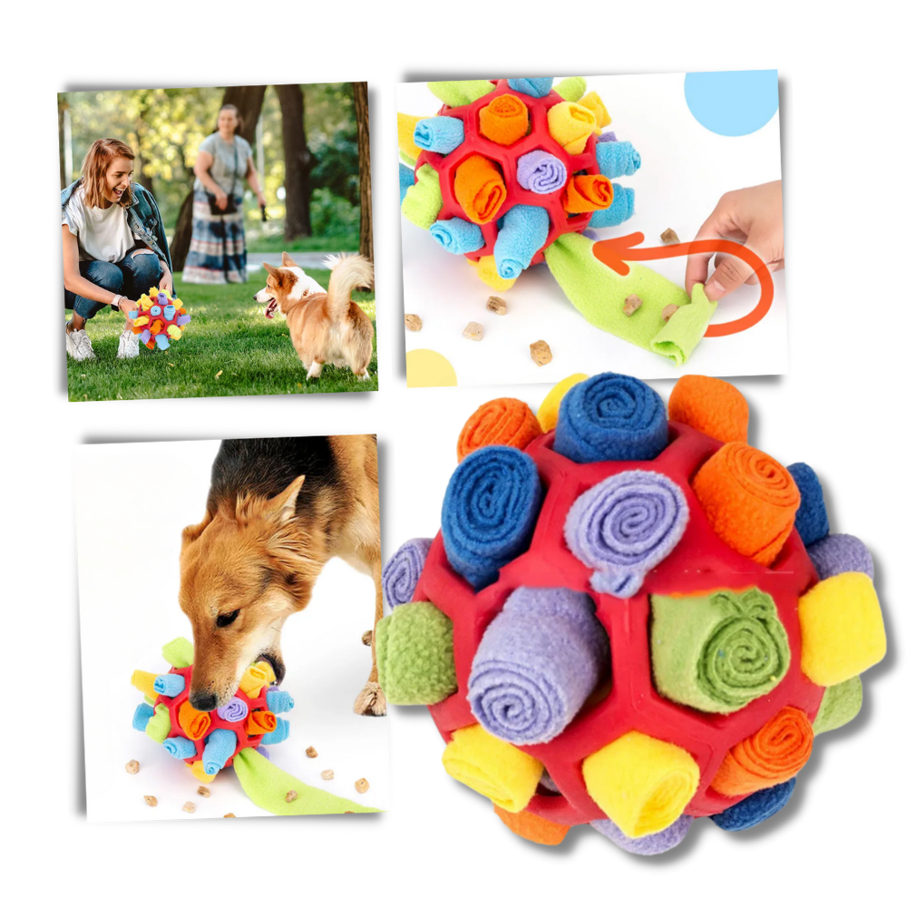 Balle à priser et de stimulation mental pour chiens