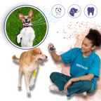 Gel de réparation buccale naturel pour animaux
