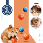 Balle pour chien avec évitement d'obstacles