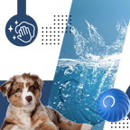 Balle pour chien avec évitement d'obstacles