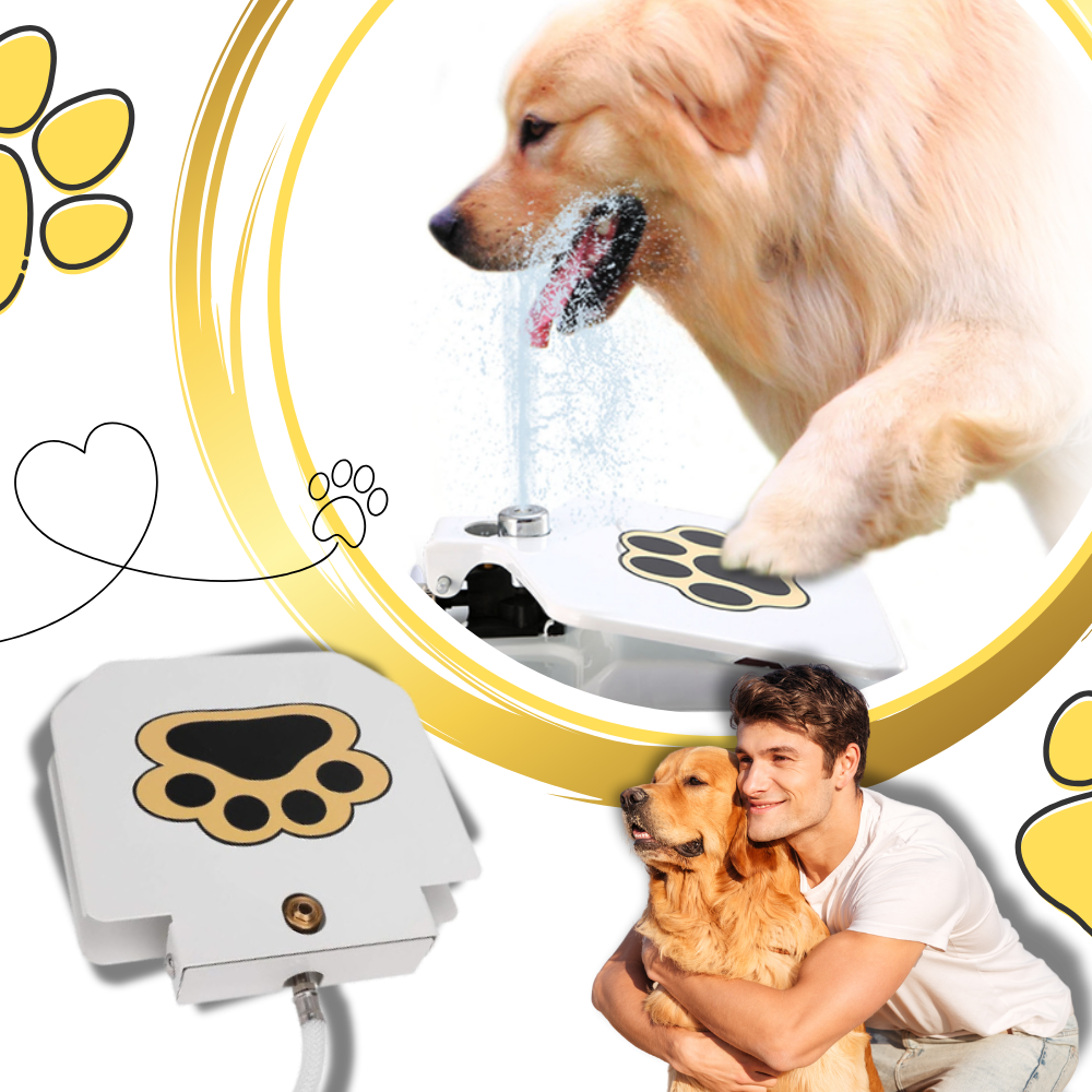 Fontaine à eau pour chien à activation par la patte