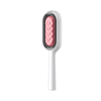 Brosse de toilettage avec réservoir d'eau