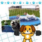 Pataugeoire portable pour chiens