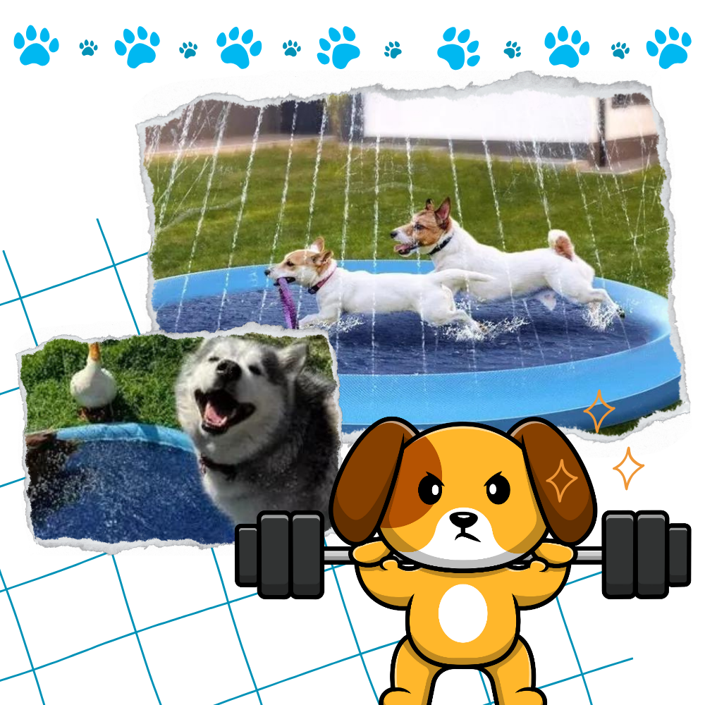 Pataugeoire portable pour chiens
