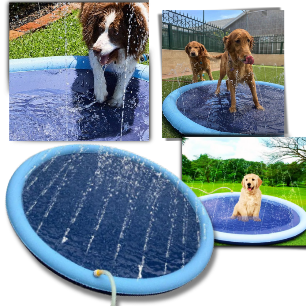 Pataugeoire portable pour chiens
