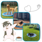Pataugeoire portable pour chiens
