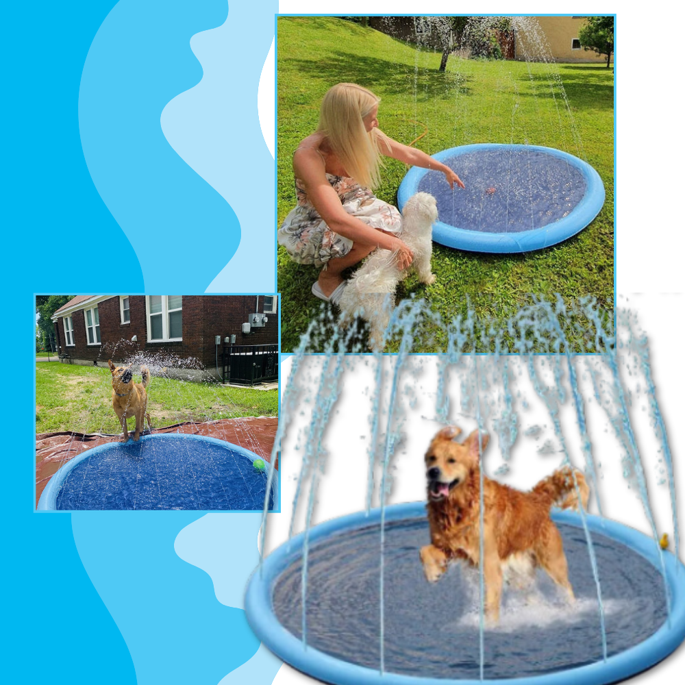 Pataugeoire portable pour chiens