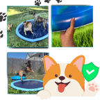 Pataugeoire portable pour chiens