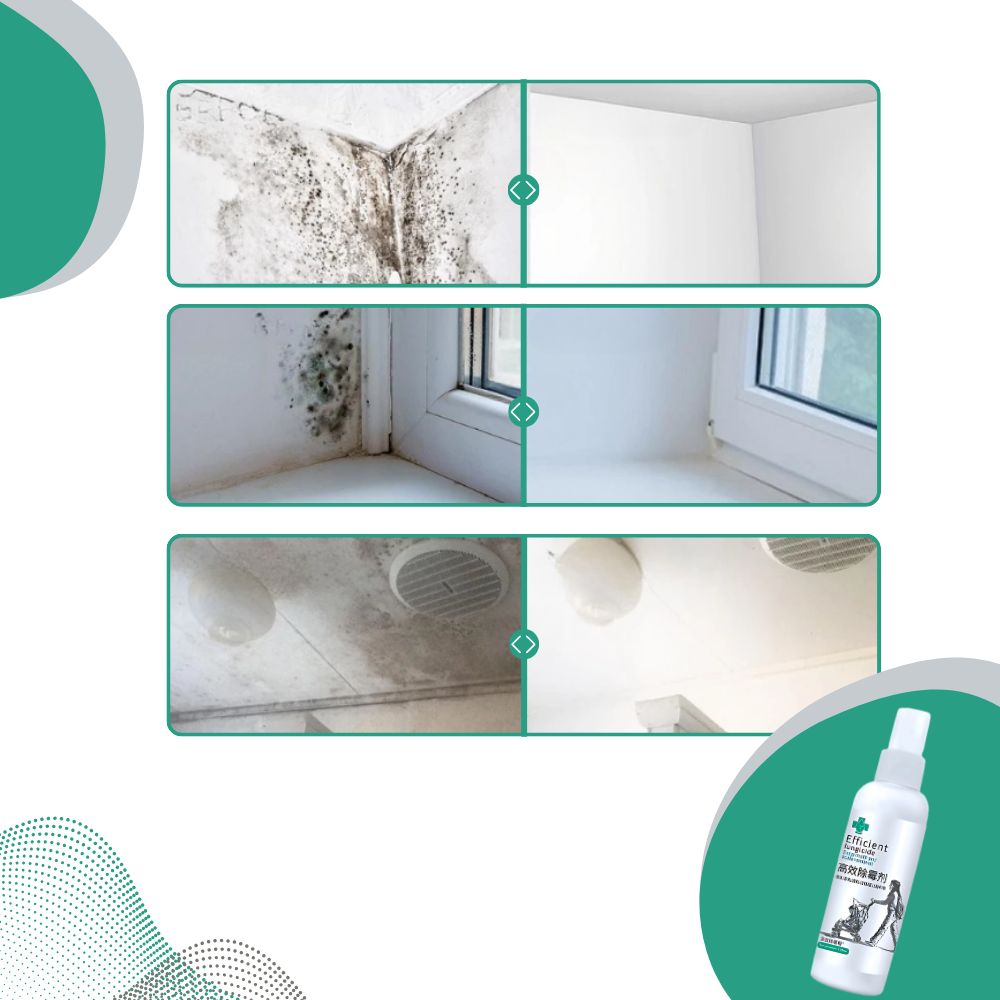 Spray puissant contre les moisissures