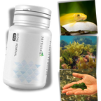 Produit anti-algues préventif pour aquarium