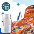 Produit anti-algues préventif pour aquarium