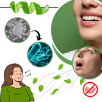 Purificateur d'haleine à la menthe