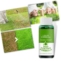 Spray revitalisant pour gazon