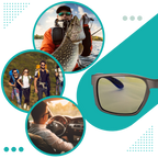 Lunettes polarisantes de pêche