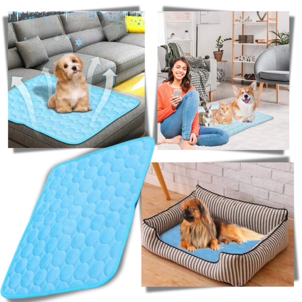 Tapis rafraîchissant en soie pour animaux de compagnie