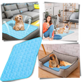 Tapis rafraîchissant en soie pour animaux de compagnie