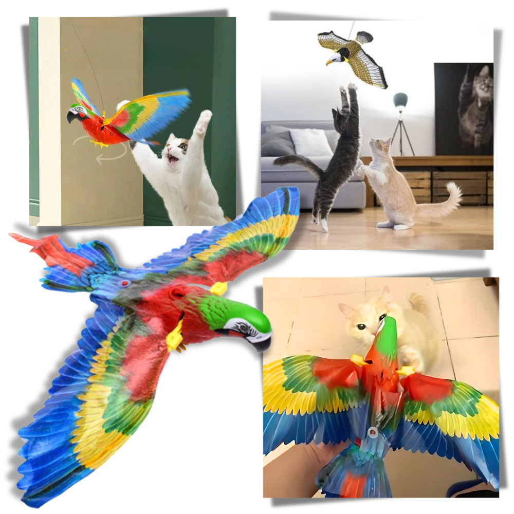 Jouet oiseau volant pour chat à suspendre