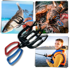 Pince à poisson sans glissement