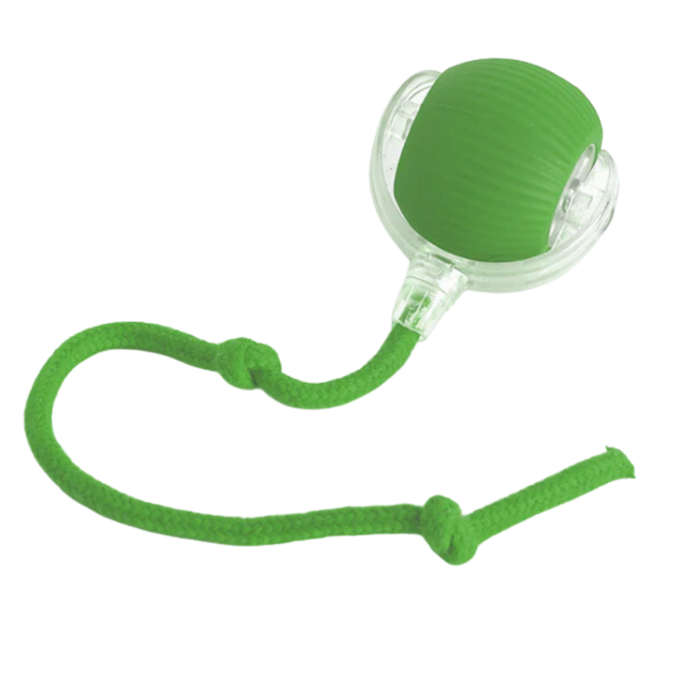 Jouet interactif intelligent pour chats