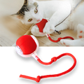 Jouet interactif intelligent pour chats