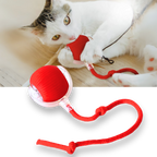 Jouet interactif intelligent pour chats