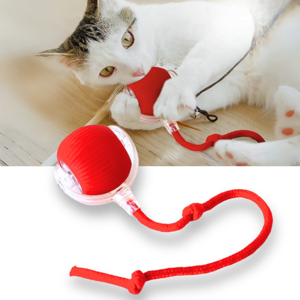 Jouet interactif intelligent pour chats