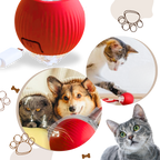 Jouet interactif intelligent pour chats