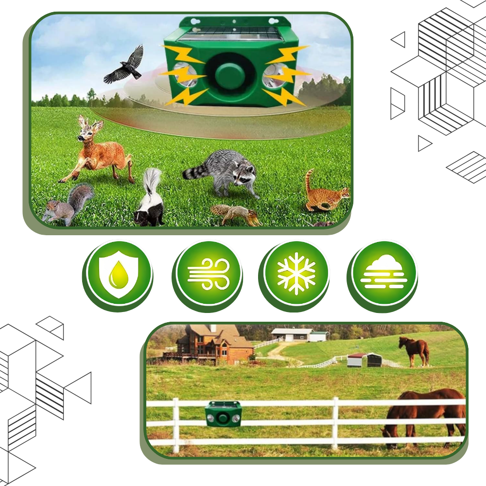 Répulsif solaire à détection de mouvement pour animaux