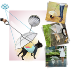Laisse parapluie transparente pour chien