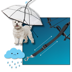 Laisse parapluie transparente pour chien