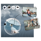 Laisse parapluie transparente pour chien